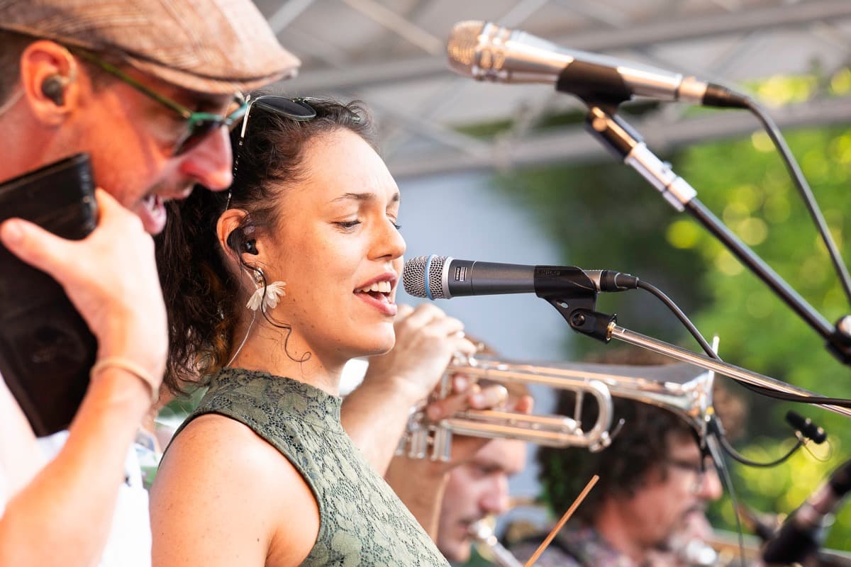 Wolfgang Ambros – Zwickt’s mi